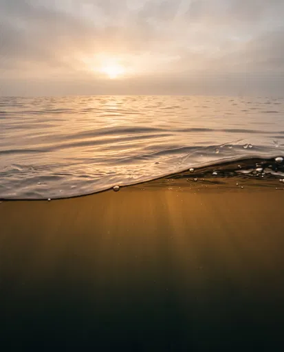 Golden Sunset Ocean Split View