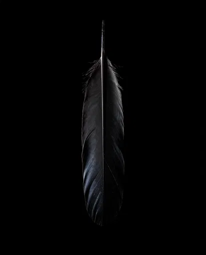 Single Black Raven Feather on Dark Background