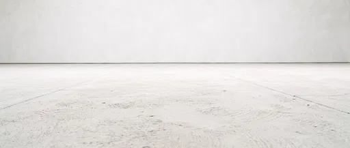 Minimalist White Concrete Floor and Plaster Wall