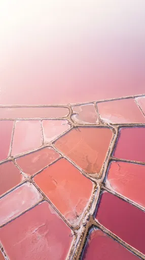Aerial View of Pink Salt Ponds