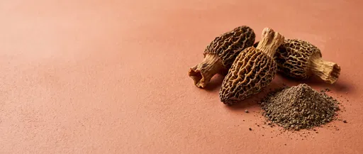 Dried Morel Mushrooms and Powder on Terracotta