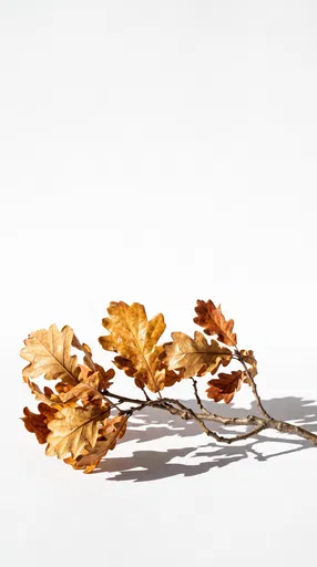 Golden Autumn Oak Branch on White