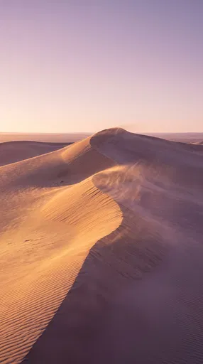 Golden Hour Desert Sand Dunes