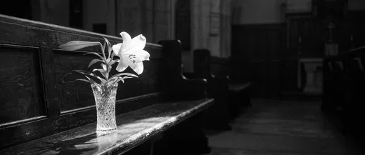 White Lily on Wooden Church Pew