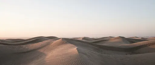 Rippled Desert Sand Dunes at Dawn
