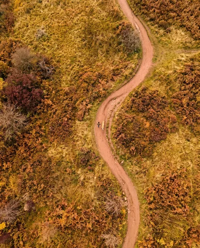 Aerial View of Person Walking Dog