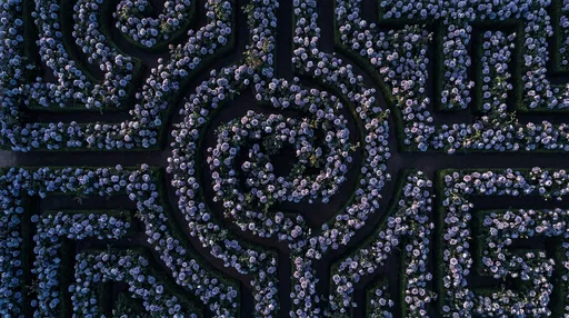 Overhead View of Lavender Rose Labyrinth