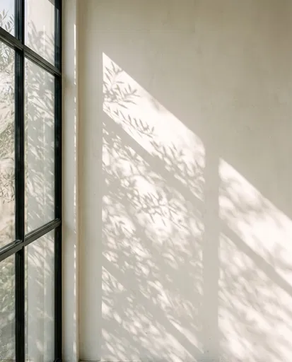 Sunlight and Leaf Shadows on Wall
