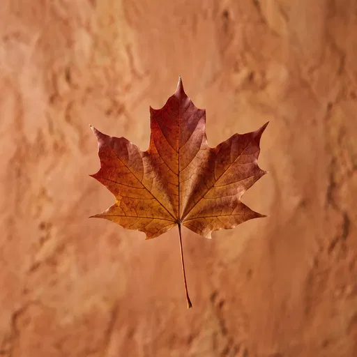 Autumn Maple Leaf on Clay Backdrop