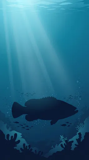 Goliath Grouper Silhouette Underwater Vector Illustration