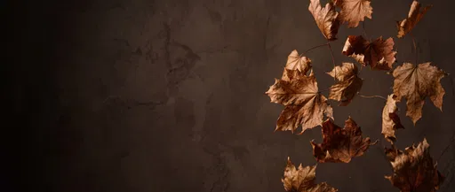 Floating Autumn Maple Leaves on Dark Backdrop