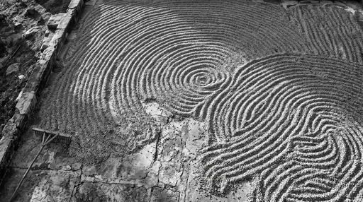 Monochrome Raked Coffee Beans on Stone Patio