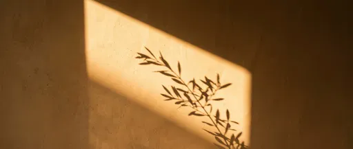 Olive Branch Shadow on Clay Wall