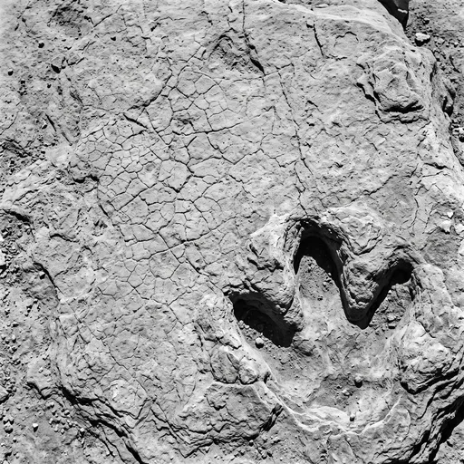 Monochrome Fossilized Dinosaur Footprint in Cracked Mudstone