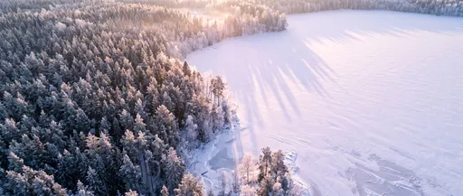 Aerial View of Frosted Forest and Lake