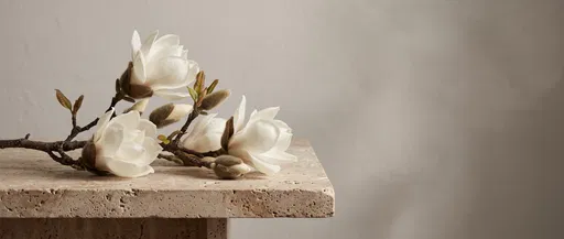 White Magnolia Branch on Travertine Stone