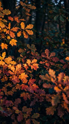 Sunlit Autumn Oak and Maple Leaves
