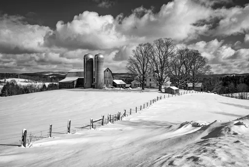 Monochrome Winter Farmstead on Snowy Hill