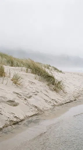 Misty Coastal Sand Dunes and Shoreline
