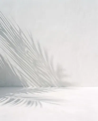 White Plaster Wall With Palm Shadow