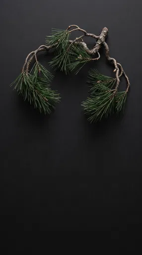 Minimalist Pine Sprig on Black Surface