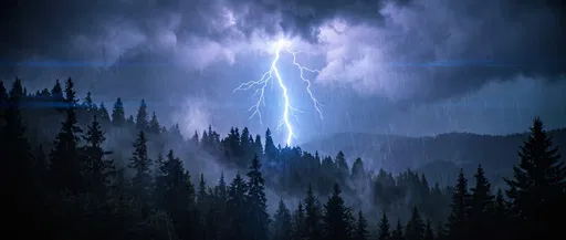 Lightning Strike Over Misty Pine Forest