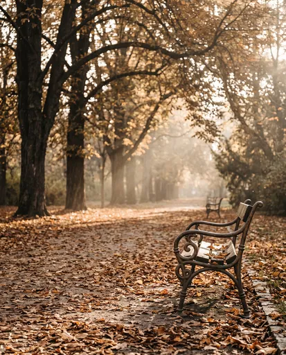 Vintage Bench in Misty Autumn Park