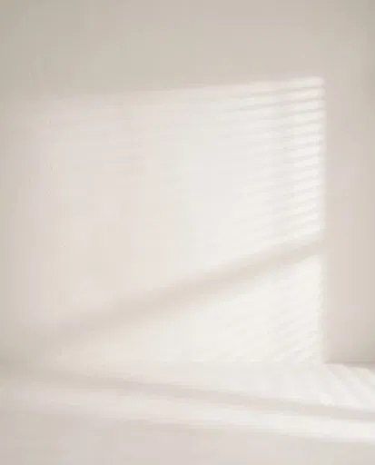 Minimalist Alabaster Plaster Wall With Blind Shadows