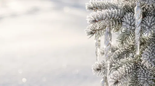 Frosted Spruce Branches with Icicle Ornaments