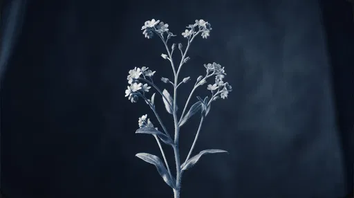 Cyanotype Sprig of Forget-Me-Not Flowers