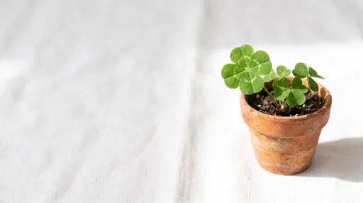 Four-Leaf Clover in Small Terracotta Pot