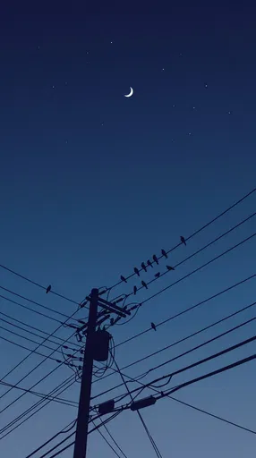 Birds on Utility Wires at Twilight