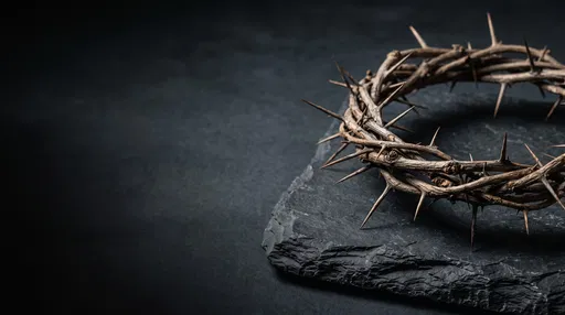 Crown of Thorns on Dark Slate