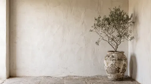 Olive Tree in Weathered Stone Urn