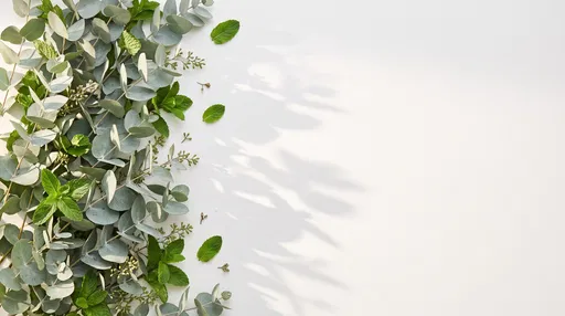 Eucalyptus and Mint Flat Lay