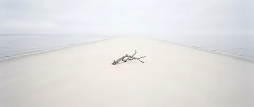 Driftwood on Minimalist White Sandbar