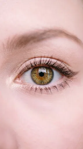 Macro Close-Up of Hazel Eye