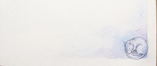 Sleeping Rat Colored Pencil Sketch