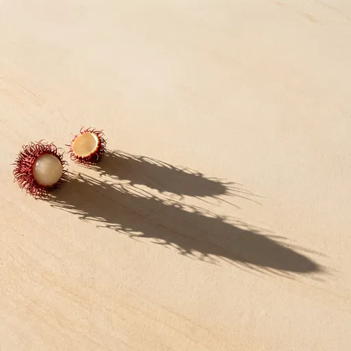 Opened Rambutan With Long Dramatic Shadow