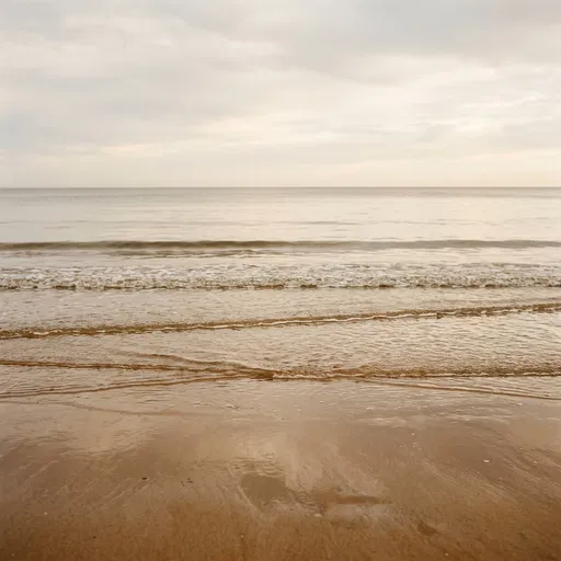 Gentle Ocean Waves on Warm Sand