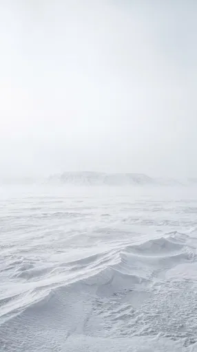 Minimalist Snowy Tundra in Whiteout Fog