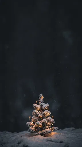 Small Illuminated Pine Tree in Snow