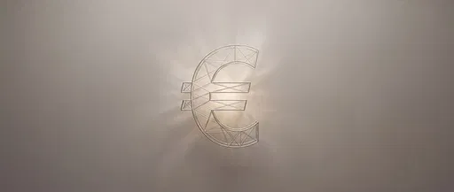 Minimalist Backlit Wireframe Euro Symbol Banner