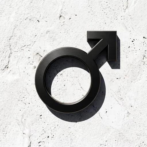 Black Metal Male Symbol on White Stone
