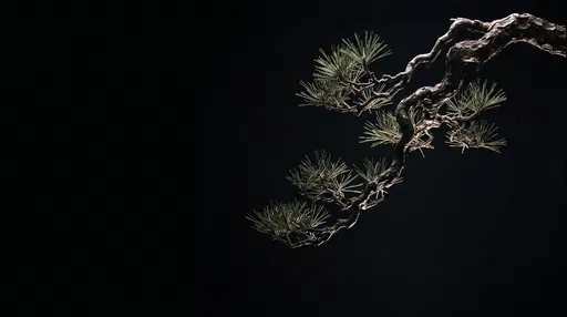 Minimalist Japanese Pine Branch on Black