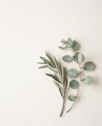 Olive Twig and Eucalyptus Flat Lay