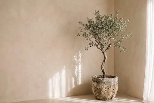 Indoor Olive Tree in Stone Planter