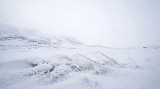 Frost Crystals and Ice in Snowy Tundra