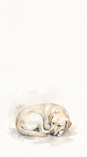 Watercolor Sleeping Yellow Labrador Illustration