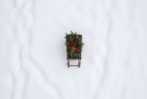 Wooden Sleigh with Pine on Snow